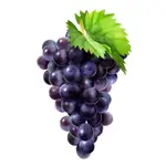 Halwani Grape 1/2 Kilo